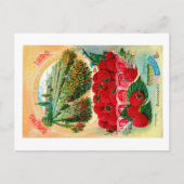 Pakketten voor zaaizaad briefkaart (Voorkant)