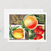 Pakketten voor zaaizaad briefkaart (Voorkant / Achterkant)