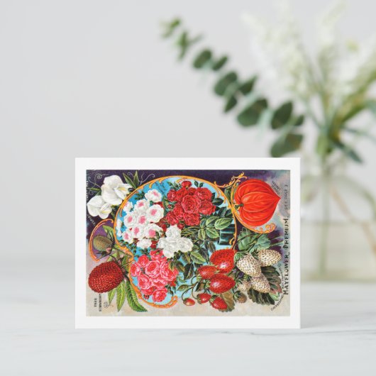 Pakketten voor zaaizaad briefkaart (Staand voorkant)