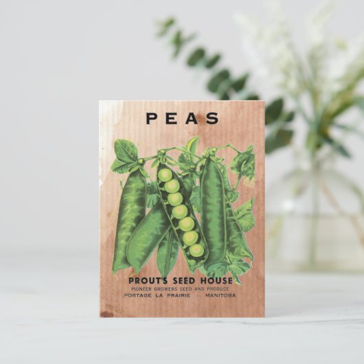 Pakkettenzaad Briefkaart (Staand voorkant)