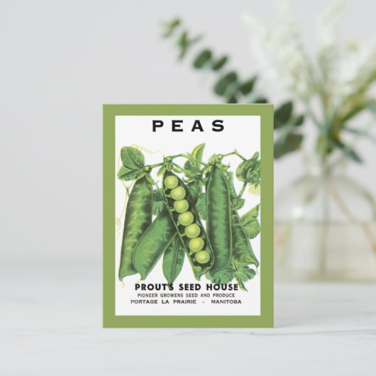 Pakkettenzaad Briefkaart (Staand voorkant)