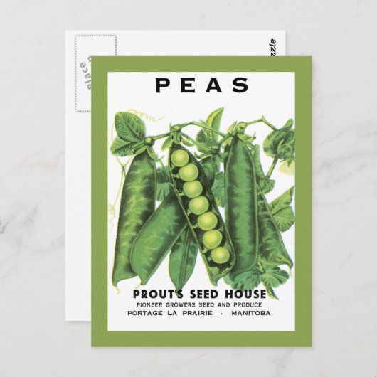 Pakkettenzaad Briefkaart (Voorkant / Achterkant)