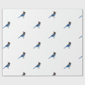 pakpapier van stellair blauw jay (Vlak)