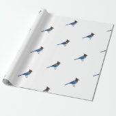 pakpapier van stellair blauw jay (Uitgerold)