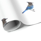 pakpapier van stellair blauw jay (Rol Hoek)