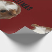 PAKPAPIER VOOR CAVIA'S (Hoek)