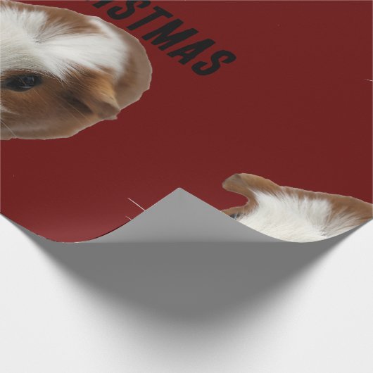 PAKPAPIER VOOR CAVIA'S (Hoek)