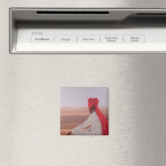 Palace Guard Jaipur Magneet (Insitu (Vaatwasser))