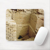 Palace-ruïne Muismat (Met muis)