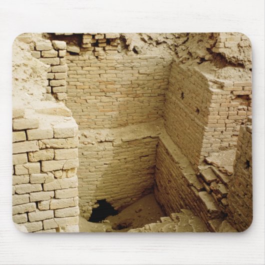 Palace-ruïne Muismat (Voorkant)