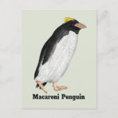 Palaeudyptes Uitgestorven Pinguïn Briefkaart (Voorkant)