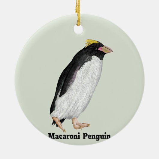 Palaeudyptes Uitgestorven Pinguïn Keramisch Ornament (Achterkant)