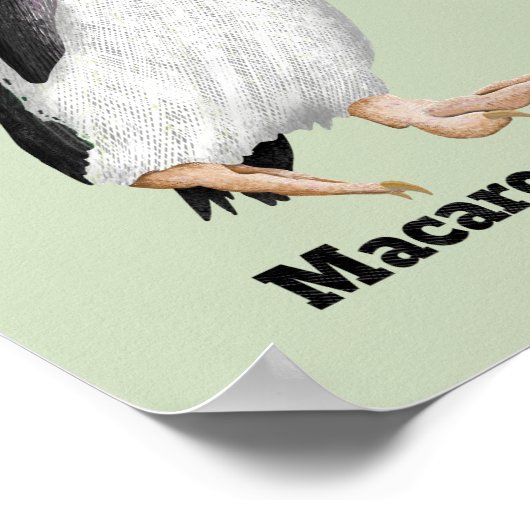 Palaeudyptes Uitgestorven Pinguïn Poster (Hoek)