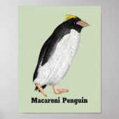 Palaeudyptes Uitgestorven Pinguïn Poster (Voorkant)