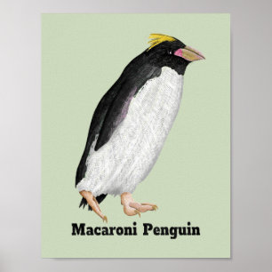 Palaeudyptes Uitgestorven Pinguïn Poster
