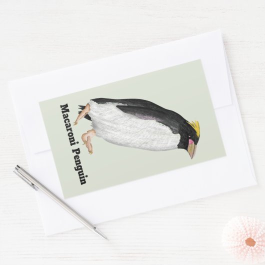 Palaeudyptes Uitgestorven Pinguïn Rechthoekige Sticker (Envelop)