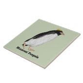 Palaeudyptes Uitgestorven Pinguïn Tegeltje (Zijkant)