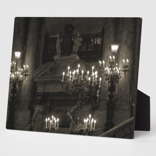 Palais Garnier Paris Frankrijk Fotoplaat (Zijkant)