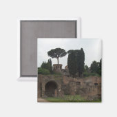 Palatine Hill in Rome, Italië Magneet (Voorkant / Achterkant)