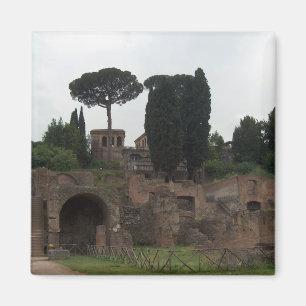 Palatine Hill in Rome, Italië Magneet