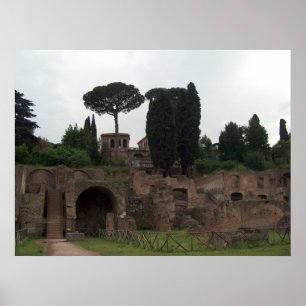 Palatine Hill in Rome, Italië Poster