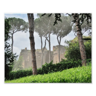 Palatine Hill Through the Trees, Rome Foto Afdruk