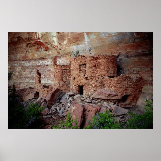 Palatki Poster (Voorkant)