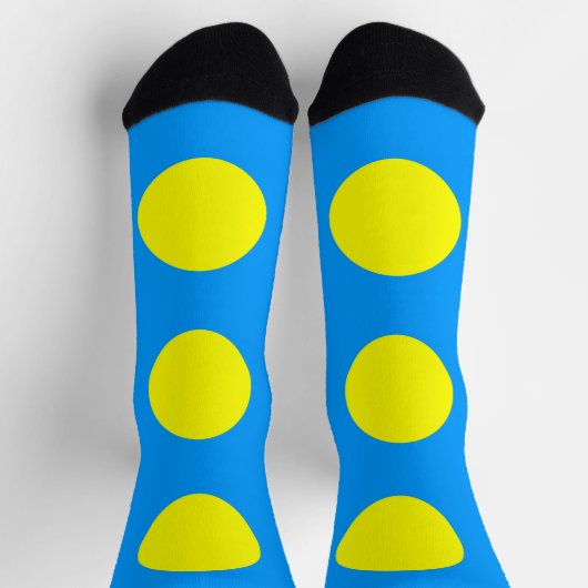 Palau Flag Sokken (Top)