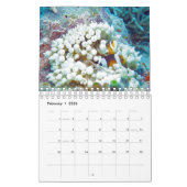 Palau Kalender (Feb 2026)