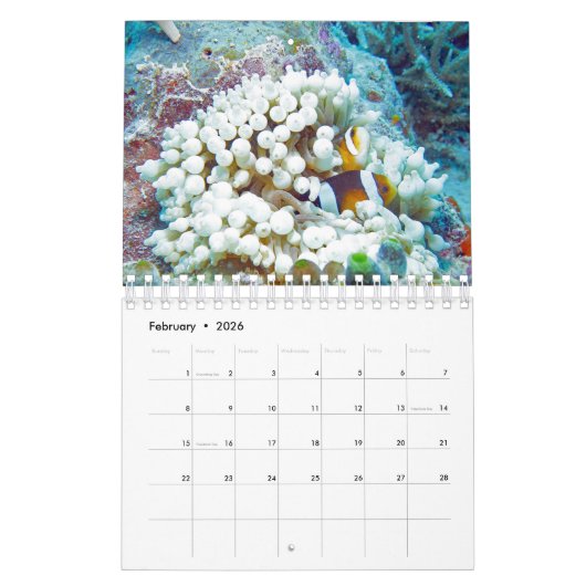 Palau Kalender (Feb 2026)