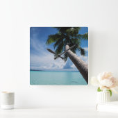 Palau, Micronesia, Palm-boom in Palau-lagune Vierkante Klok (Huis)