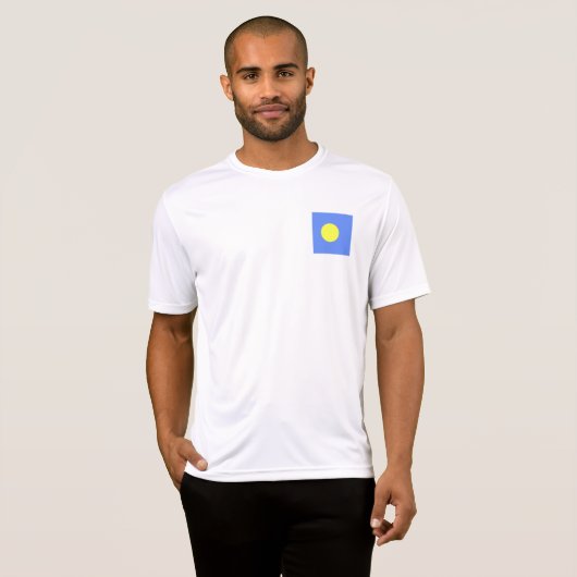Palau-vlag T-shirt (Voorkant volledig)