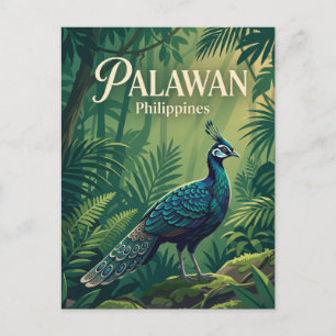 Palawan Filipijnen Briefkaart