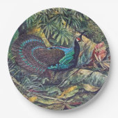 Palawan Peacock Pheasant Bird Paper Bord (Voorkant)