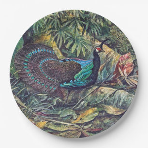 Palawan Peacock Pheasant Bird Paper Bord
