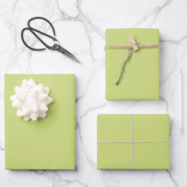 Pale Lime Green Spring And Summer Trending Color Inpakpapier Vel