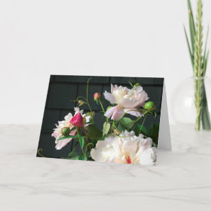 Pale Pink Peonies 2020 by Diane Heller Kaart