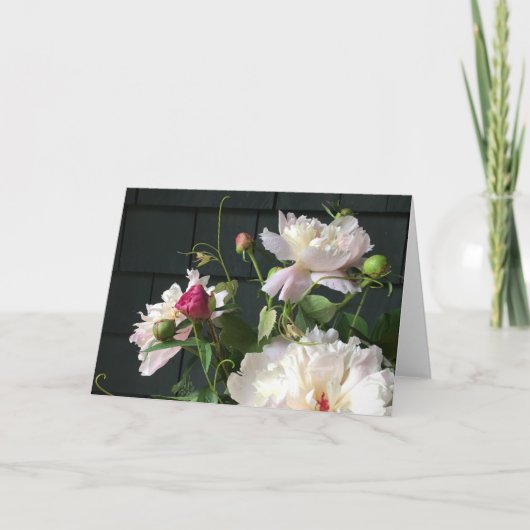 Pale Pink Peonies 2020 by Diane Heller Kaart (Voorkant)