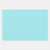 Pale Robin's Egg Blue & White Floral Lattice  Inpakpapier Vel (Voorkant 2)