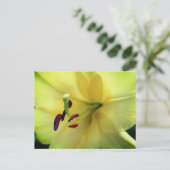 Pale Yellow Lily Flower Photography  Briefkaart (Staand voorkant)