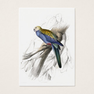Paleheaded Parket van Edward Lear Visitekaartjes