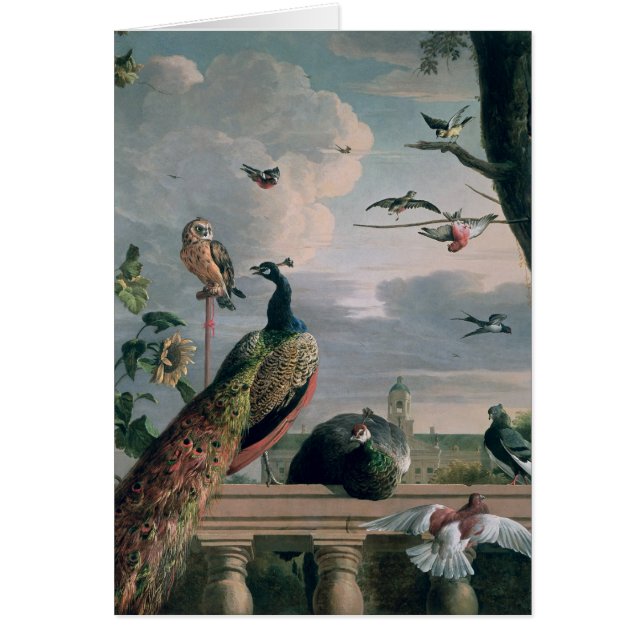 Paleis van Amsterdam met exotische vogels (Voorkant)
