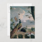 Paleis van Amsterdam met Exotische Vogels Briefkaart (Voorkant / Achterkant)