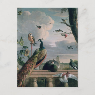 Paleis van Amsterdam met Exotische Vogels Briefkaart