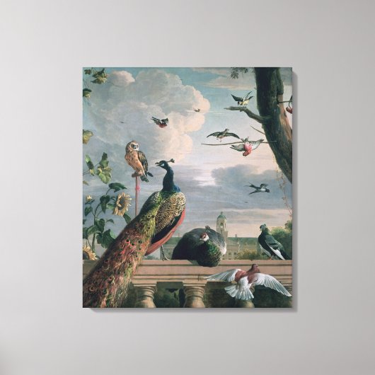 Paleis van Amsterdam met Exotische Vogels Canvas Afdruk (Voorkant)