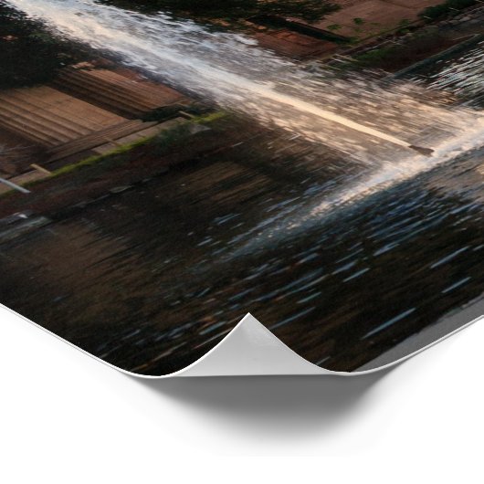 Paleis van de FIne Arts Poster (Hoek)