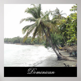Palenque Beach in Dominicaanse Republiek Poster