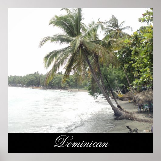 Palenque Beach in Dominicaanse Republiek Poster (Voorkant)