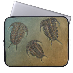 "Paleo-chic" Ceraurus Fossil Trilobite Laptop Sleeve