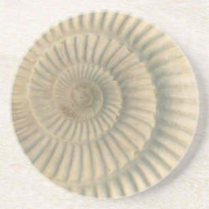 "Paleochic" Perisphincte Ammonite Trinket Tray Zandsteen Onderzetter